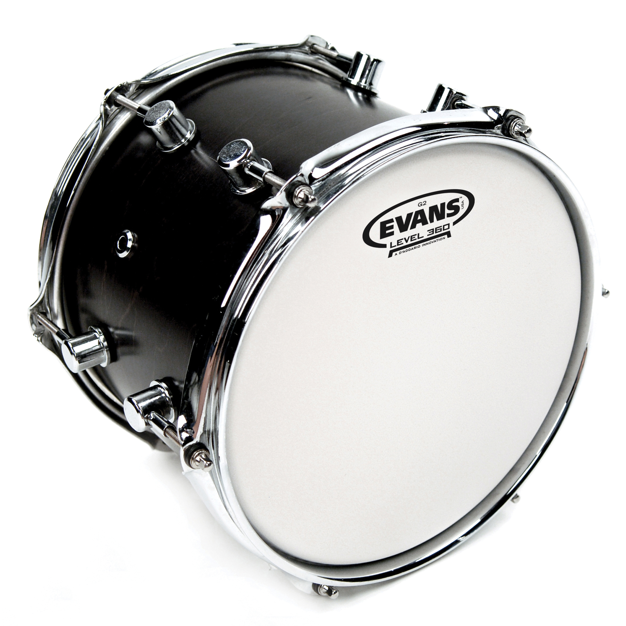 evans coated drum heads