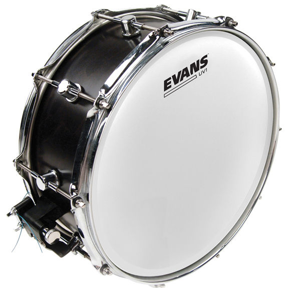 harga head snare drum evans