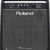 Roland PM-200 Personal Monitor - Image 4